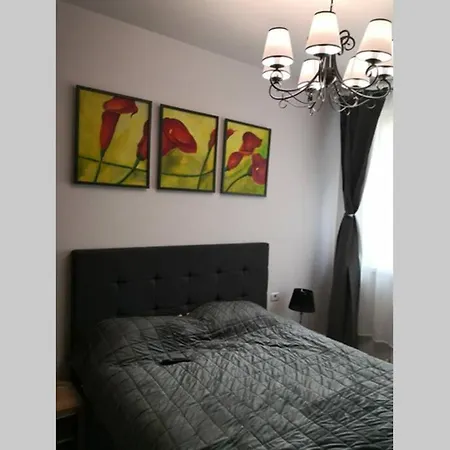 Apartament Monicos * Năvodari